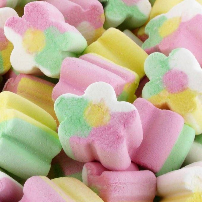 Chamallow Fleur (100g) FINI